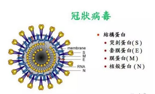 接觸角測(cè)量?jī)x與口罩的關(guān)系 1.JPG
